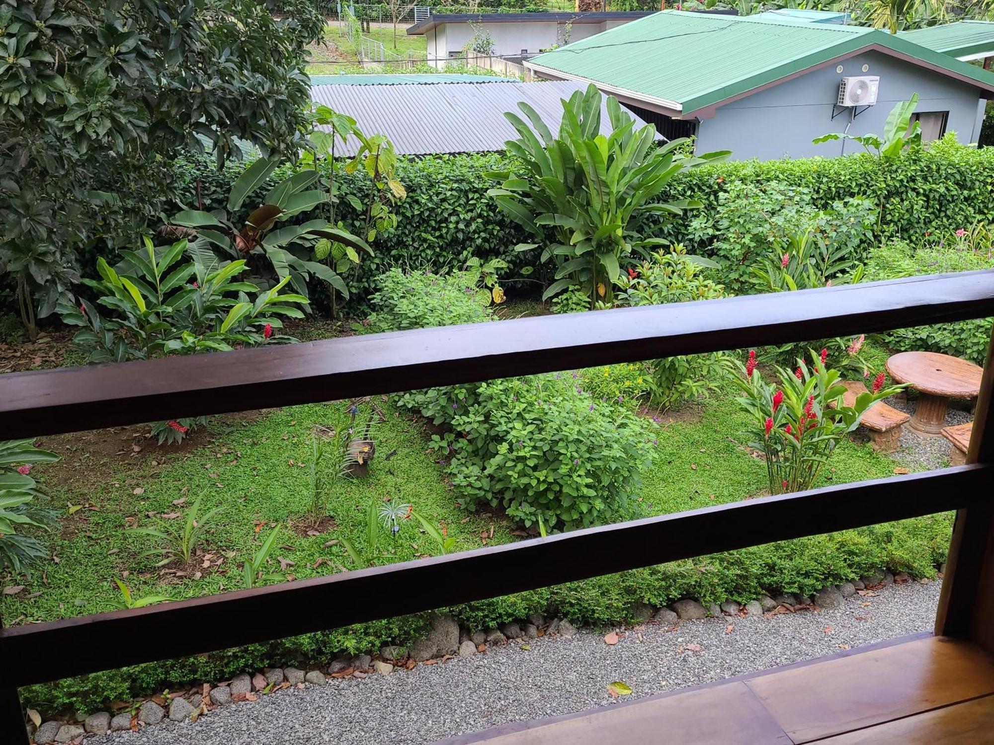 Arenal Sweet Cabins La Fortuna Exterior photo